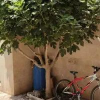 منزل ویلایی دربست ۱۲۰ متری