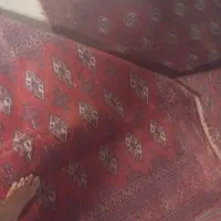 فروش فرش ترکمن دستباف قدیمی|فرش|چالوس, |دیوار