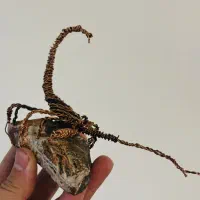 (مجسمه سیمی عقرب و سنگ ژئود کلکسیونی )|مجسمه، تندیس، ماکت|محمدشهر, ولدآباد|دیوار