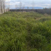 فروش-دو-قطعه-700-متری-مسکونی-در-رودبنه-لاهیجان