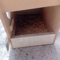 لونه عروس هلندی|لوازم جانبی حیوانات|سرخنکلاته, |دیوار