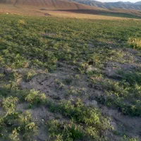 فروش قطعه زمین در اطراف سد بناب مرند|فروش دفتر صنعتی، کشاورزی، تجاری|مرند, |دیوار