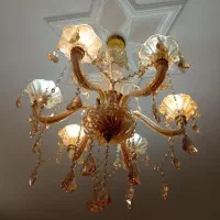 ۶شاخه به رنگ شامپانی شیک