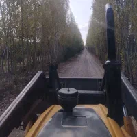 بیل بکو|خودرو سنگین|آزادشهر, |دیوار