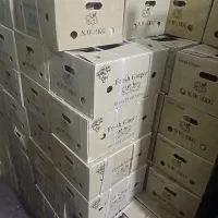 زنجبیل تازه