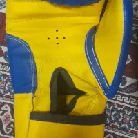 دستکش بوکس(GREEN HILL)|تجهیزات ورزشی|ری, سیزده آبان|دیوار