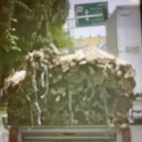 مقداری چوب توسکا مناسب برای قاب وتابلو