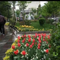 خدمات نوین باغبانی(متین)