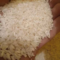 عنبربو|خوردنی و آشامیدنی|قزوین, |دیوار