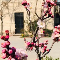 نیروی خدماتی،خدمات،نظافتچی،بسته بند