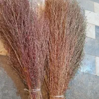جارو باغی