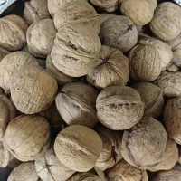 گردوی تویسرکان|عمده‌فروشی|فامنین, |دیوار