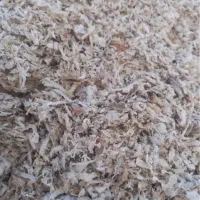 تفاله چغندر قیمت کف بازار