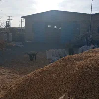 زغال نارگیل صادراتی در ابعاد دلخواه|عمدهفروشی|دلیجان, |دیوار