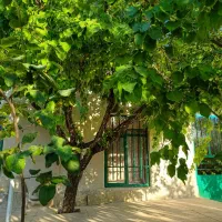ویلا باغ دنج و پرآب و پر محصول و رویایی
