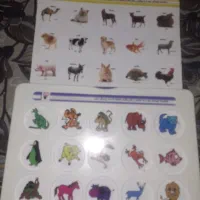 انواع اسباب بازی از ۶ماه تا ۱۰سال در حد نو