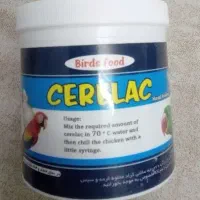 سرلاک پرنده