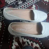 کفش مردانه ۴۳جنس عالی|کیف، کفش، کمربند|آق قلا, |دیوار