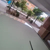 پارس تصادفی