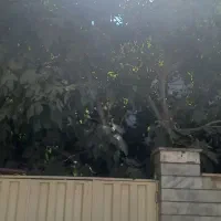 اجاره آپارتمان ۱۰۰ متری ۲ خوابه طبقه ۳ تک واحدی|اجارهٔ آپارتمان|کرج, حسین‌آباد|دیوار