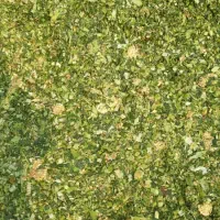 ذرت علوفه بسته بندی ۳۰ کیلویی