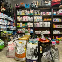 پت شاپ غذا خشک سگ و گربه مکمل اسباب بازی تشویقی سگ