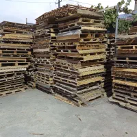 پالت در انواع سایز موجود داریم برای فروش|عمدهفروشی|ربط, |دیوار