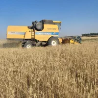 کمباین آماده بکار در خوزستان