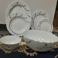 ظروف پذیرایی