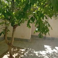 فروش-خانه-دربست-165-متر-سند-تک-برگ-عرصه-و-عیان