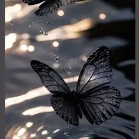 جویای کار
