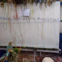 دارقالی|فرش|مشهد, خواجه ربیع|دیوار