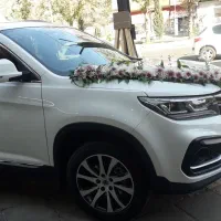 اجاره ماشین جهت مراسم عروسی و تشریفات|خودرو اجاره‌ای|قزوین, |دیوار