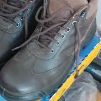 کفش بهشتیان