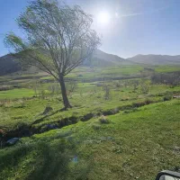 زمین گریزه ۷۰متری