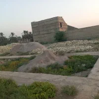 فروش فوری زمین در شیبان
