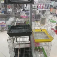 قفس و لوازم و خوراک پرندگان|لوازم جانبی حیوانات|تهران, جنت‌آباد مرکزی|دیوار