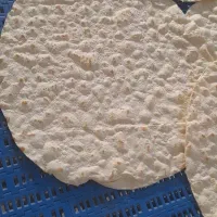 نیروی ساده خانم