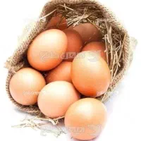 تخممرغ محلی