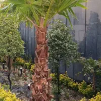 ابیاری قطره ای ومه پاش|خدمات باغبانی و درختکاری|قم, الغدیر|دیوار