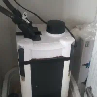 اکواریوم|ماهی|رودهن, |دیوار