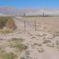 زمین فروشی|فروش زمین و ملک کلنگی|تسوج, |دیوار