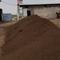 خدمات باغبانی سمپاشی هرس کاری|خدمات باغبانی و درختکاری|تهران, پاسداران|دیوار