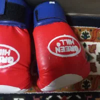 دستش بوکس