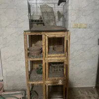 قفسه پرنده