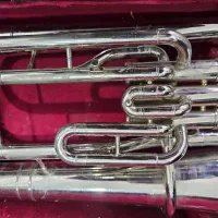 ترومپت پاروت