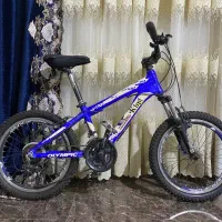 دوچرخه بیست دندای