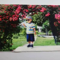 تبدیل عکس دلخواه به تابلو فرش|تابلو فرش|کاشان, دانش|دیوار