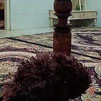 قلیون با چوب گردو