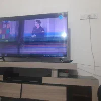 تلوزیون